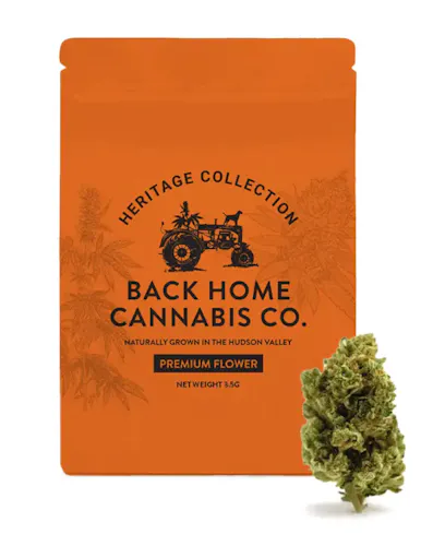 Acapulco Gold | Indoor Flower | 3.5g-1