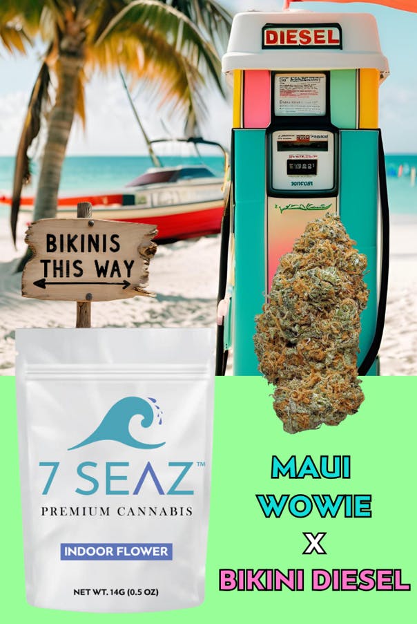 Maui Wowie x Bikini Diesel Flower | Hybrid | 7 Seaz