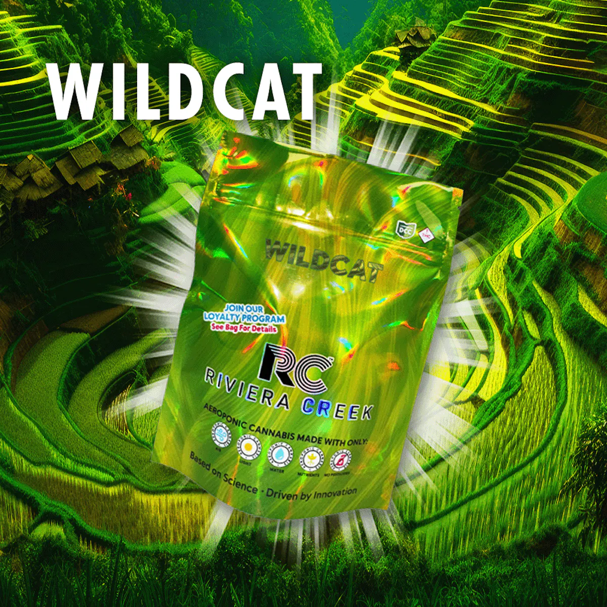 Wild Cat 2.83g Flower | Riviera Creek |