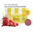 Blissful Berry Lemonade THC CBD CBG
