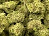 BOGO Legendary Leaf OZ's 