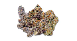 Flower category image