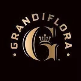 Grandiflora Blunt | Black Piranha
