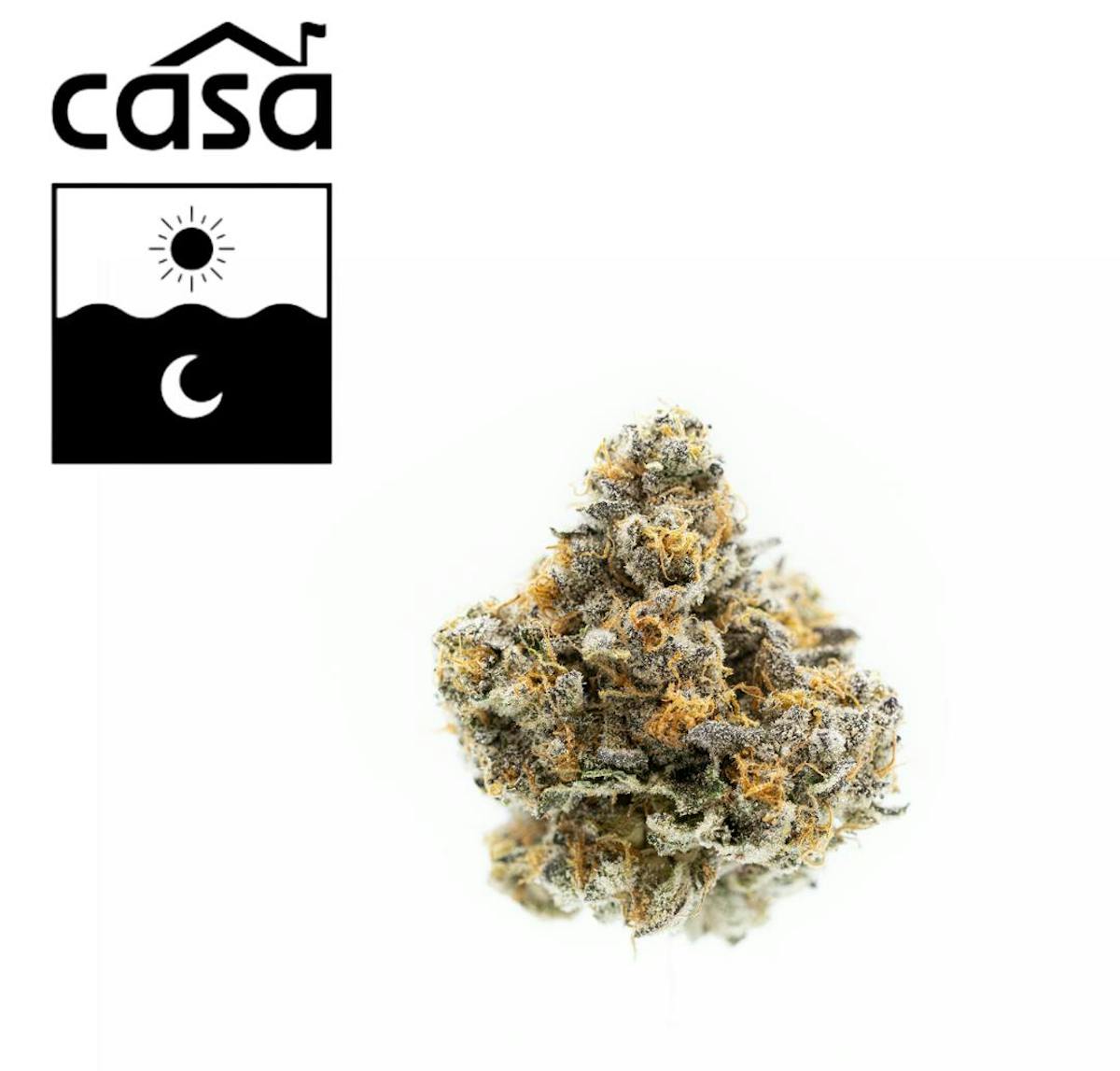 Photo of Harbor House Alley Oop 7g