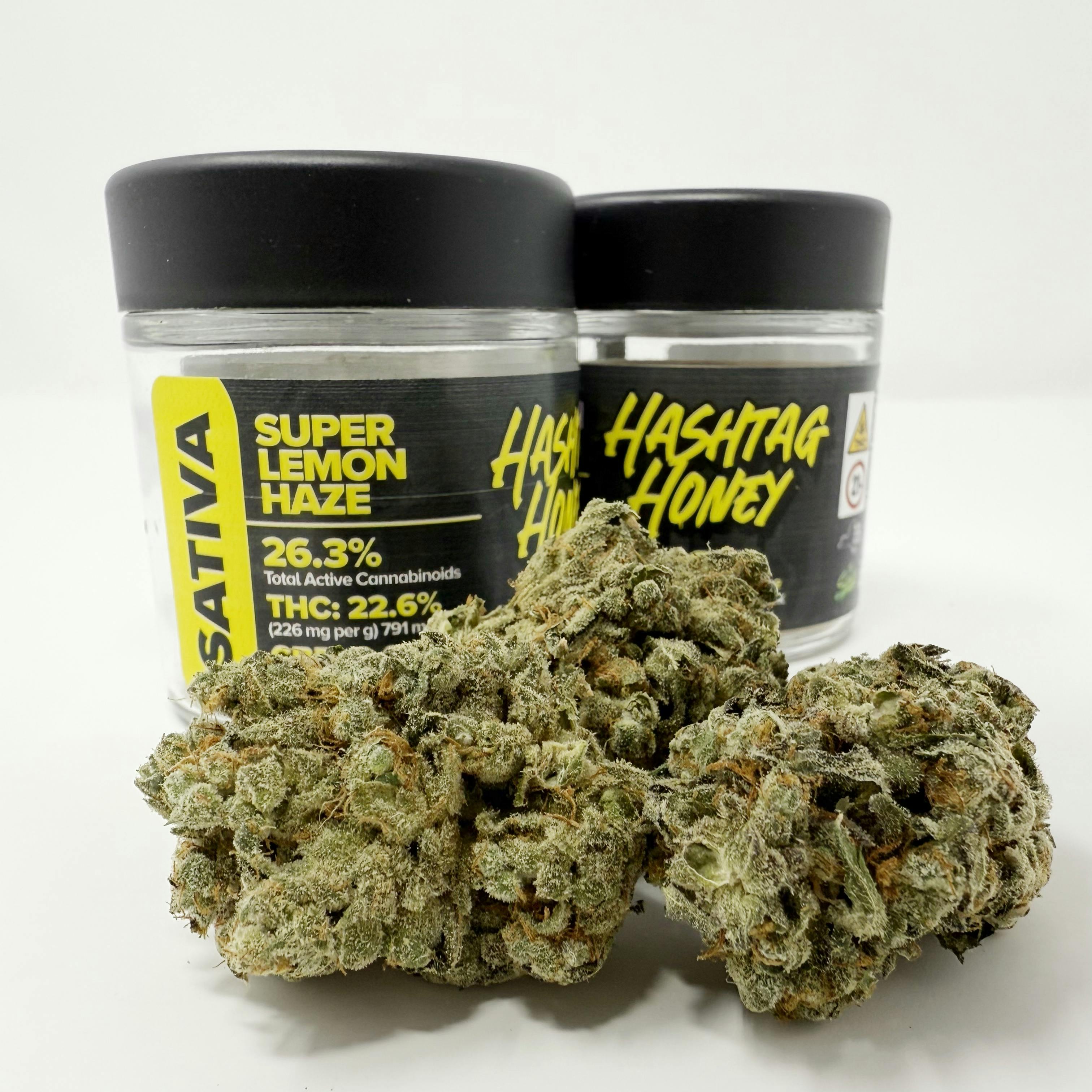 Hashtag Honey | 3.5g Flower | Super Lemon Haze