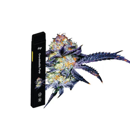 Product: DRIP | GRANDDADDY PURP | DISPOSABLE INDICA
