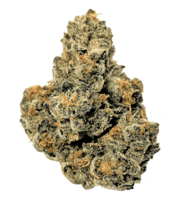 Product: ELYSIUM | PINEAPPLE TART | BULK | HYBRID