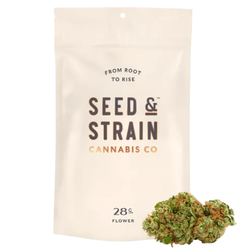 Mega Squirt – (28g)-active