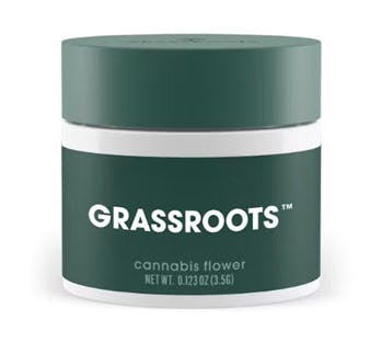Photo of Grassroots | Gush Mints | Flower 3.5g