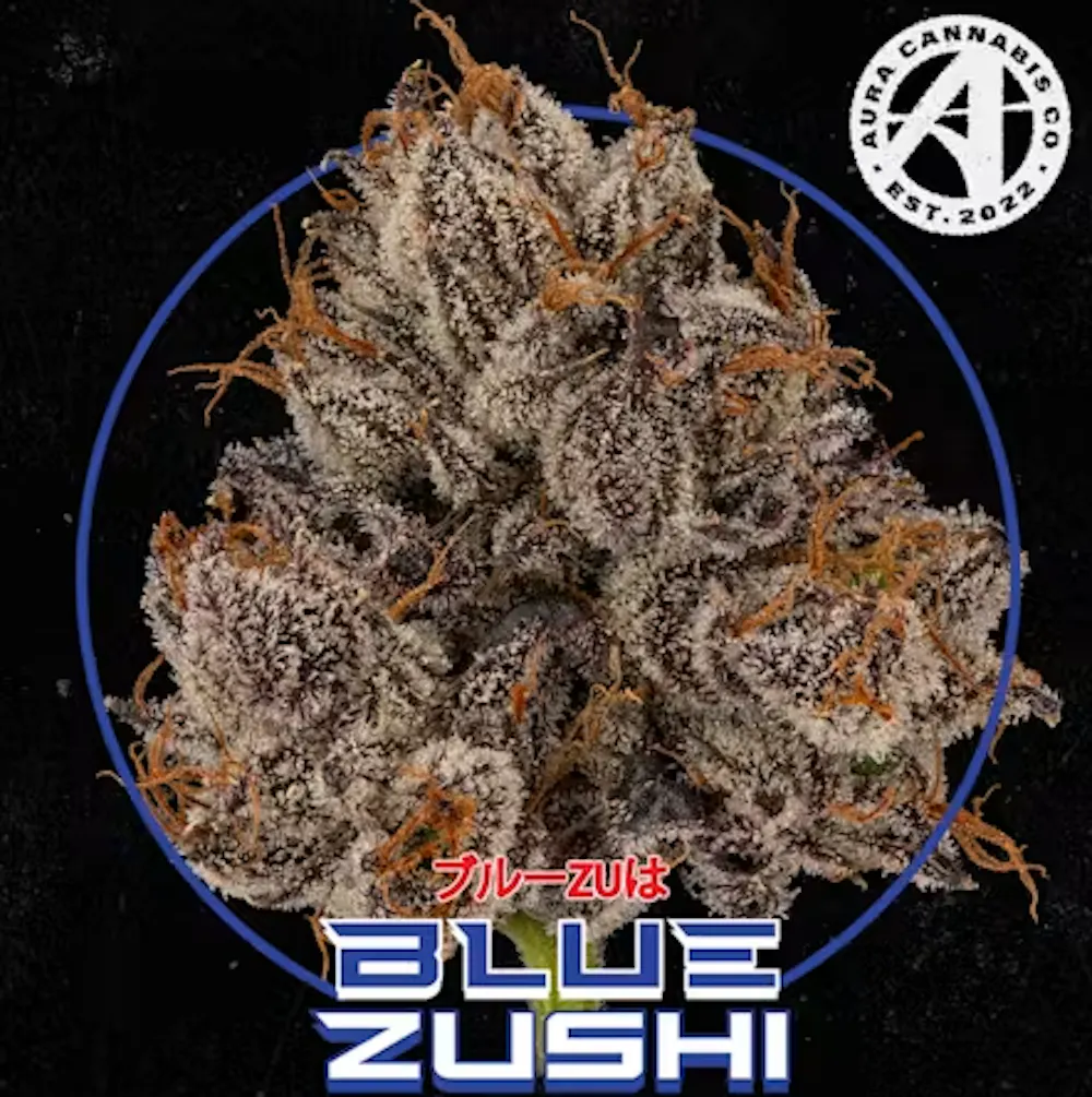 Product Aura | Blue Zushi | Flower