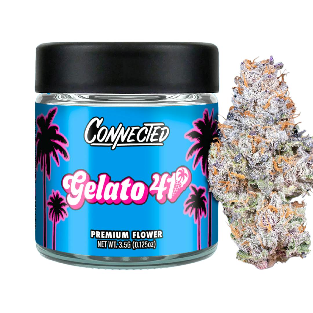 GELATO 41