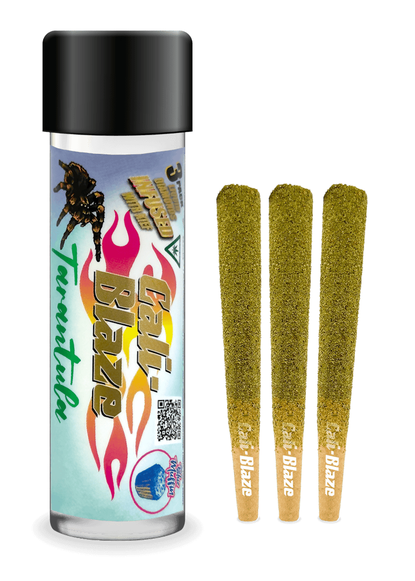 Cali Blaze - Blue Muffin Tarantula x 3pk