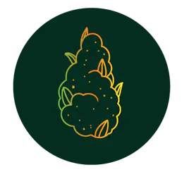 Flower category image