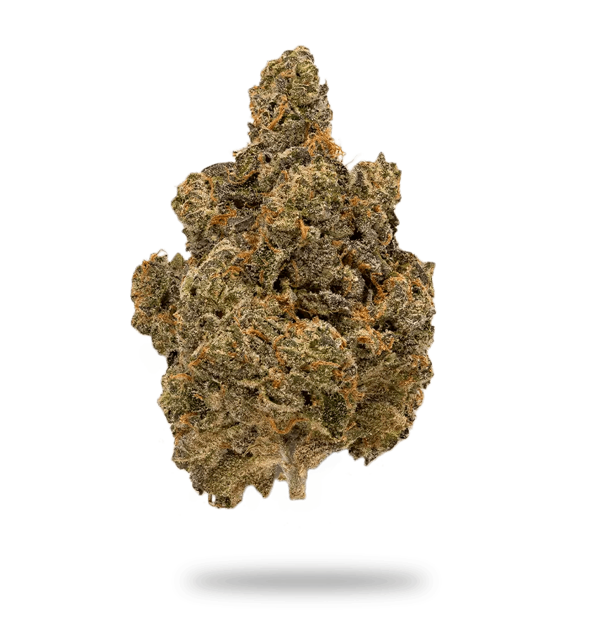 Flower Ecto Cooler Bud's Goods