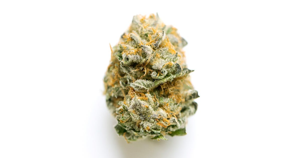 Image of Jelly Donutz | 14g