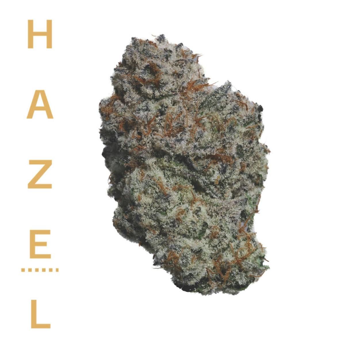 Photo of Hazel Cap Junky