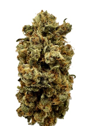 Product: CRAFT HYDROPONIC | MELONADE | PRE-PACK HYBRID