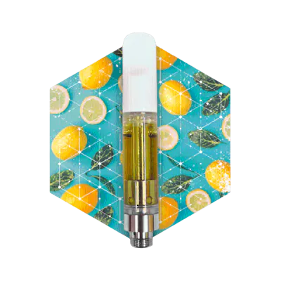 22 Lemons – Kosa Cannabis Dispensary Marlboro MA