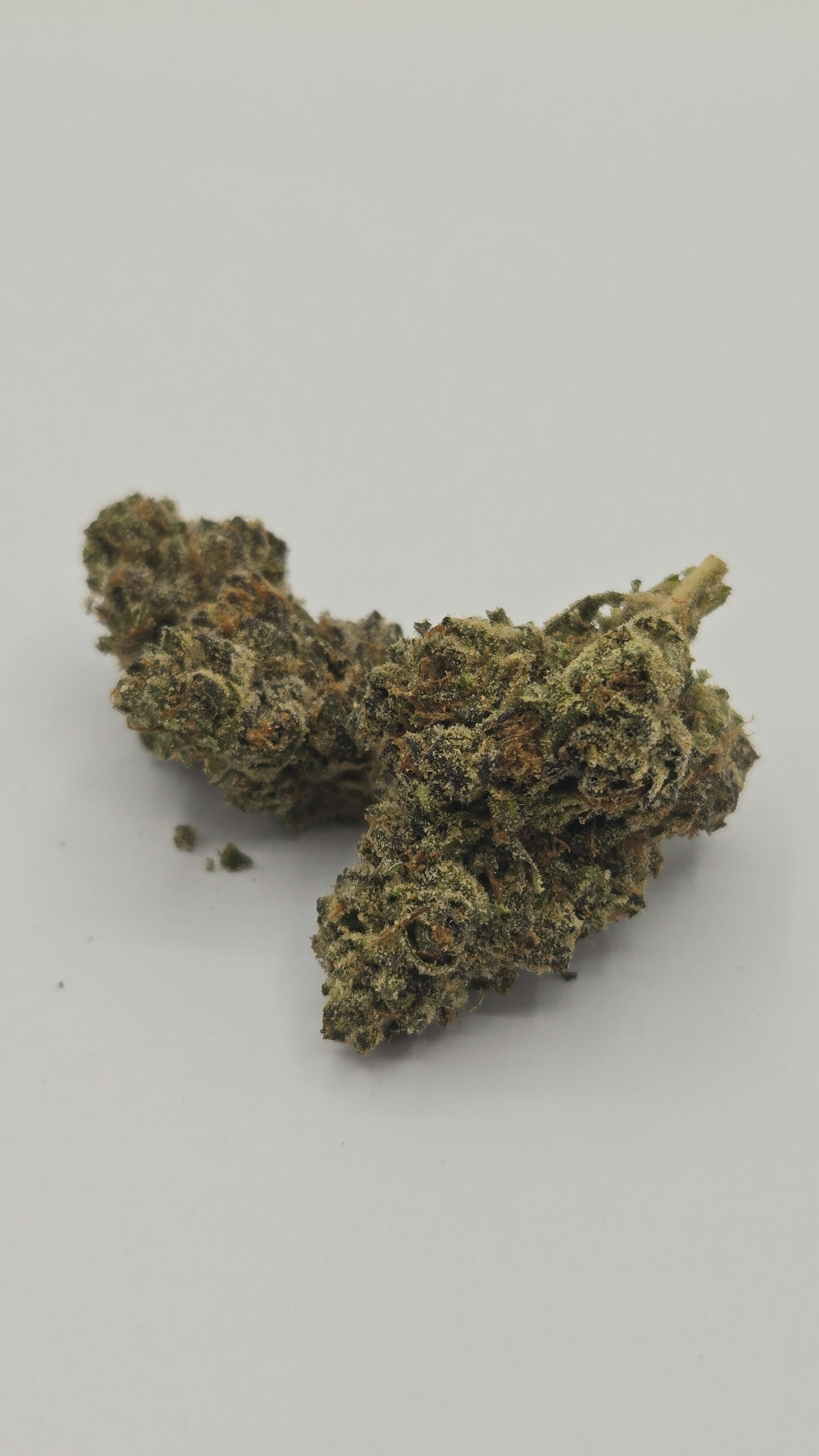 Total Eclipse | Farm Science