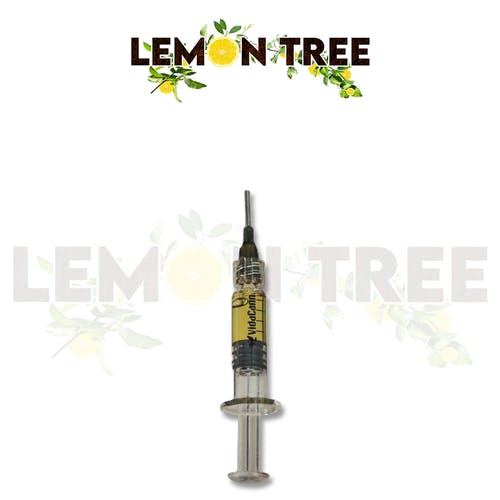Lemon Tree - 