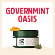 GVO *WARNING HIGH THC*