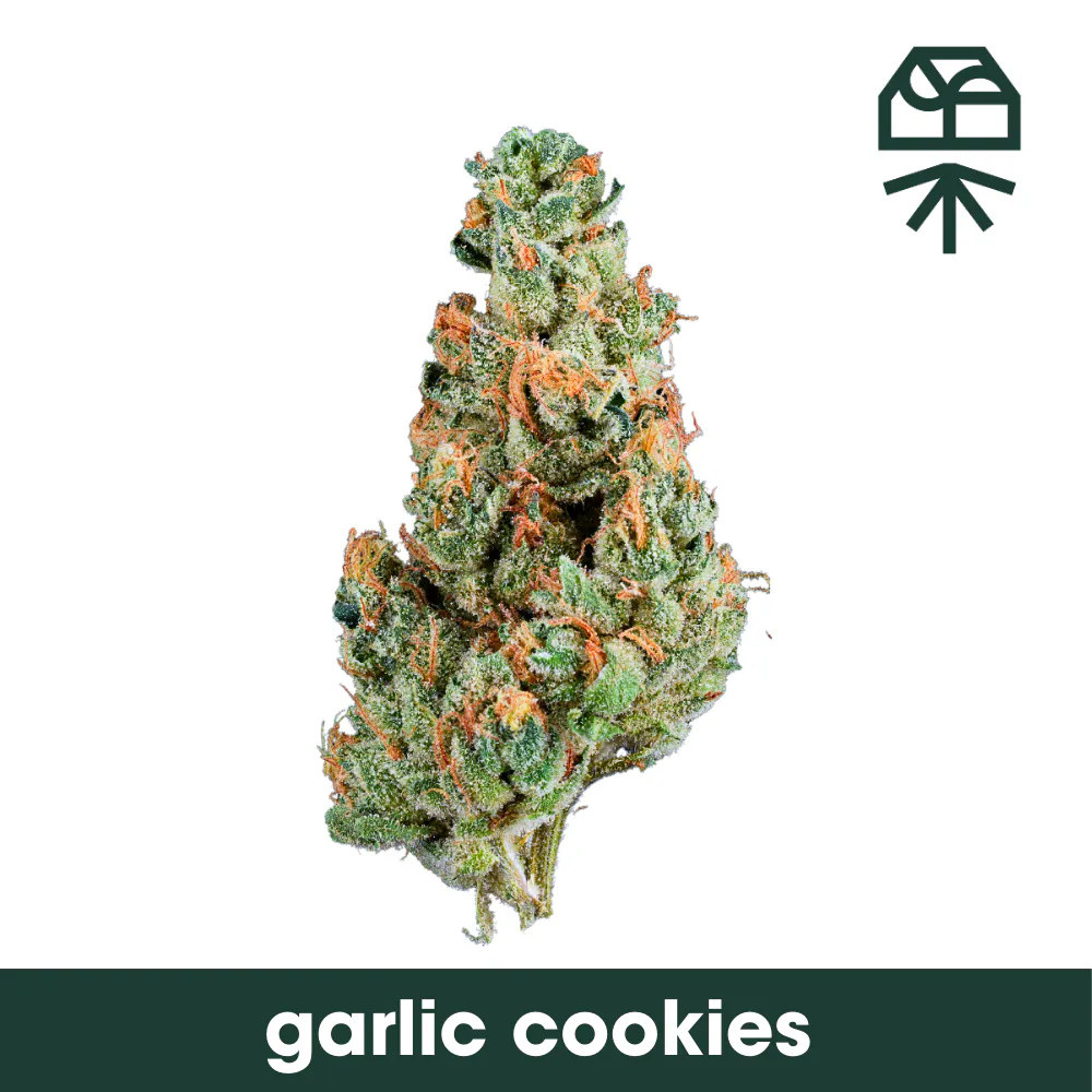 Garlic Cookies Shake 14g | Retail Sandbox - IL Weed Street (REC)