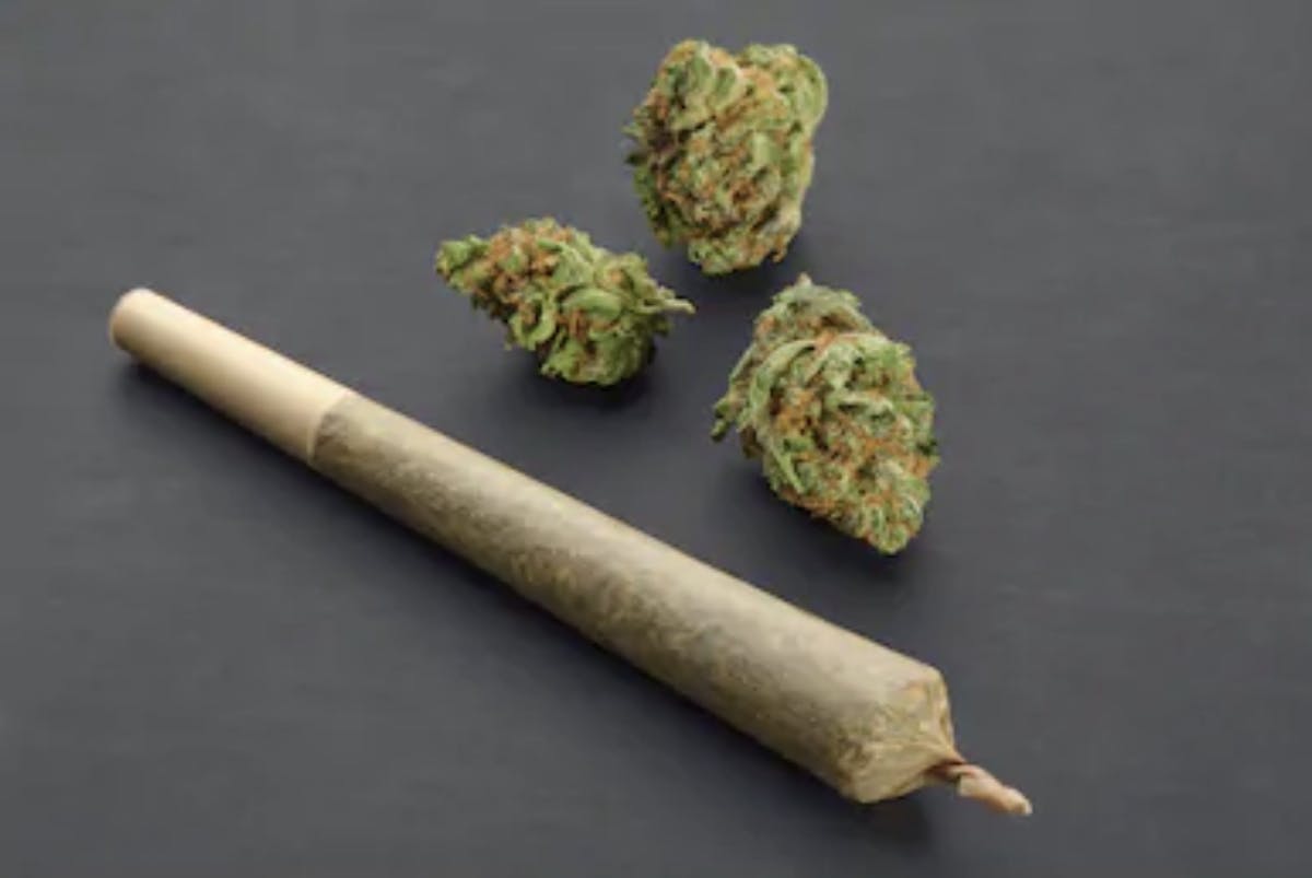 Image of NF1 | 1g Preroll