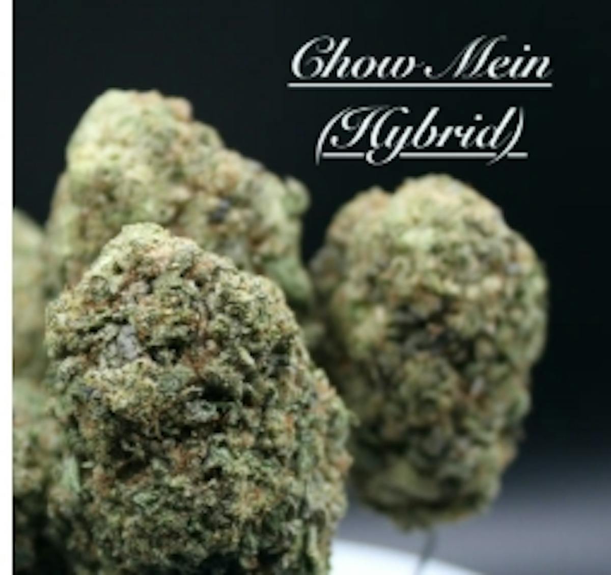 Photo of Chow Mein 3.5g Flower Coastal Healing