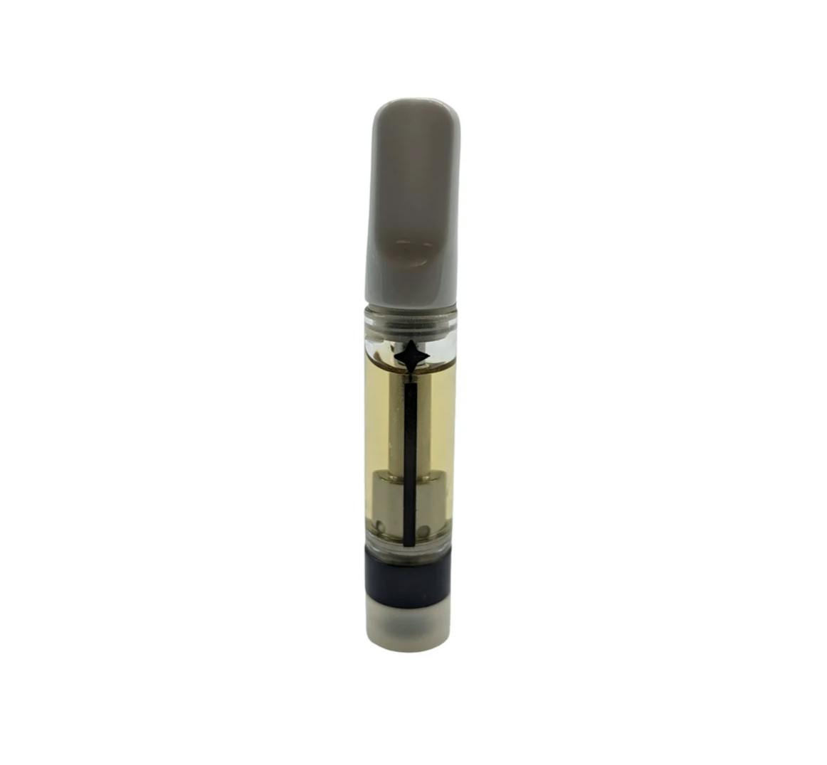 HIDFA-45S-EX39-8CCT-BYP/5SP - RAB Lighting