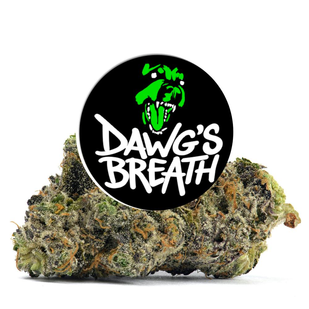 Port Charlotte Dispensary: Green Dawg Dawg Breath Premium Flower