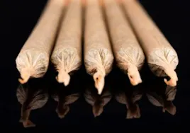 Pre-Rolls category image