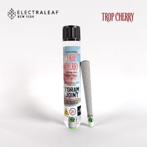 Photo of Electraleaf | Coco Pina Pre-Roll | 1g