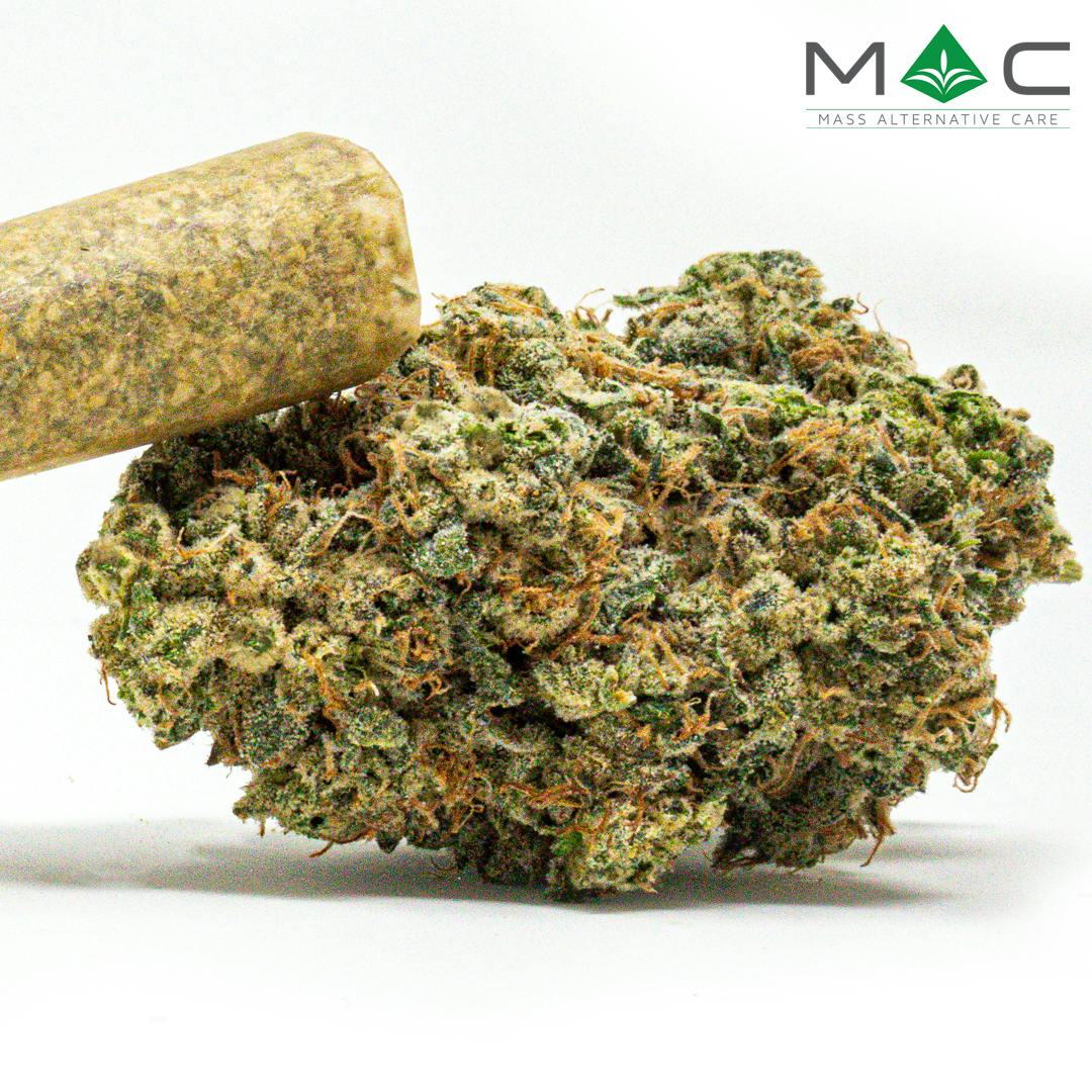 Product Zombie | Pre Rolls
