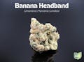 Farkas Farms: Banana Headband - 2.83g