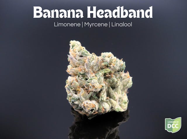 Dried cannabis flower is primarily ingested via inhalation. Activation time is roughly about 5 minutes and can last up to a few hours.