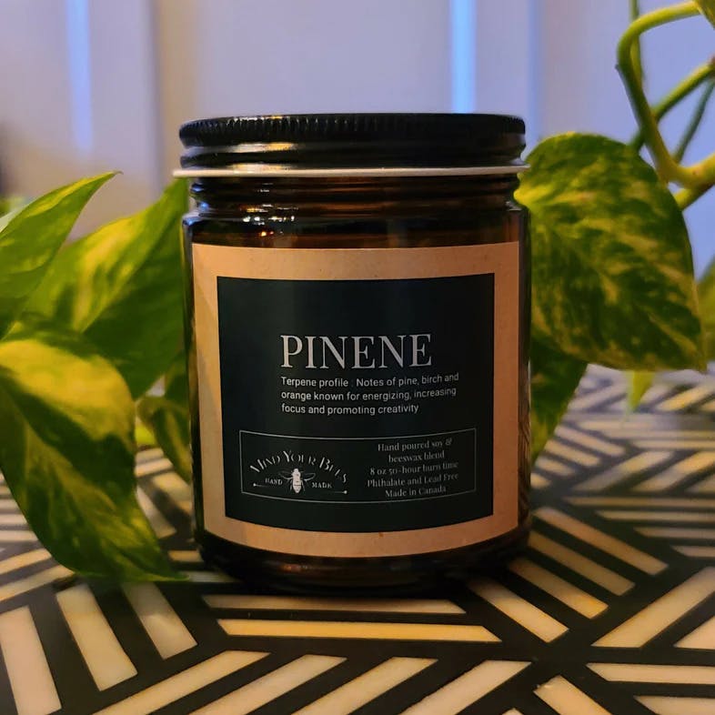 Mind Your Bees - Terpene Inspired Luxury Candle - Pinene