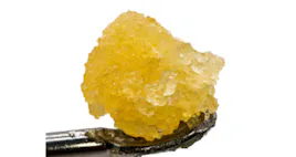 Concentrates category image