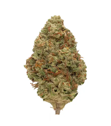 Rolling Green | Flower | Pop Tart | 3.5g-1