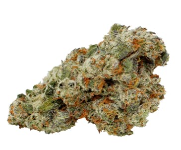 Special Haze | High Ties (Vanier)