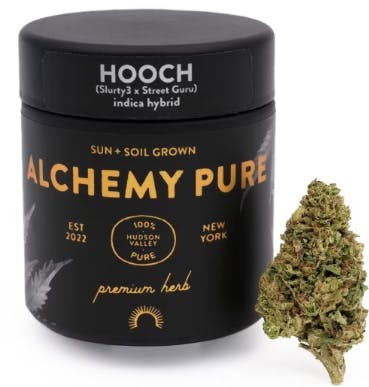 Alchemy Pure Premium Herb | 3.5g | GMO