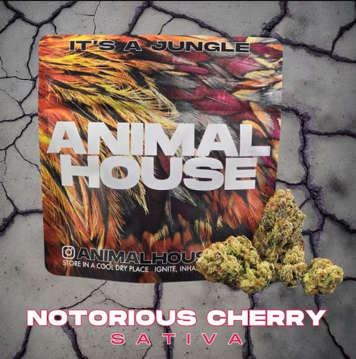 Flower | Animal House | Notorious Cherry | Smalls | 5g