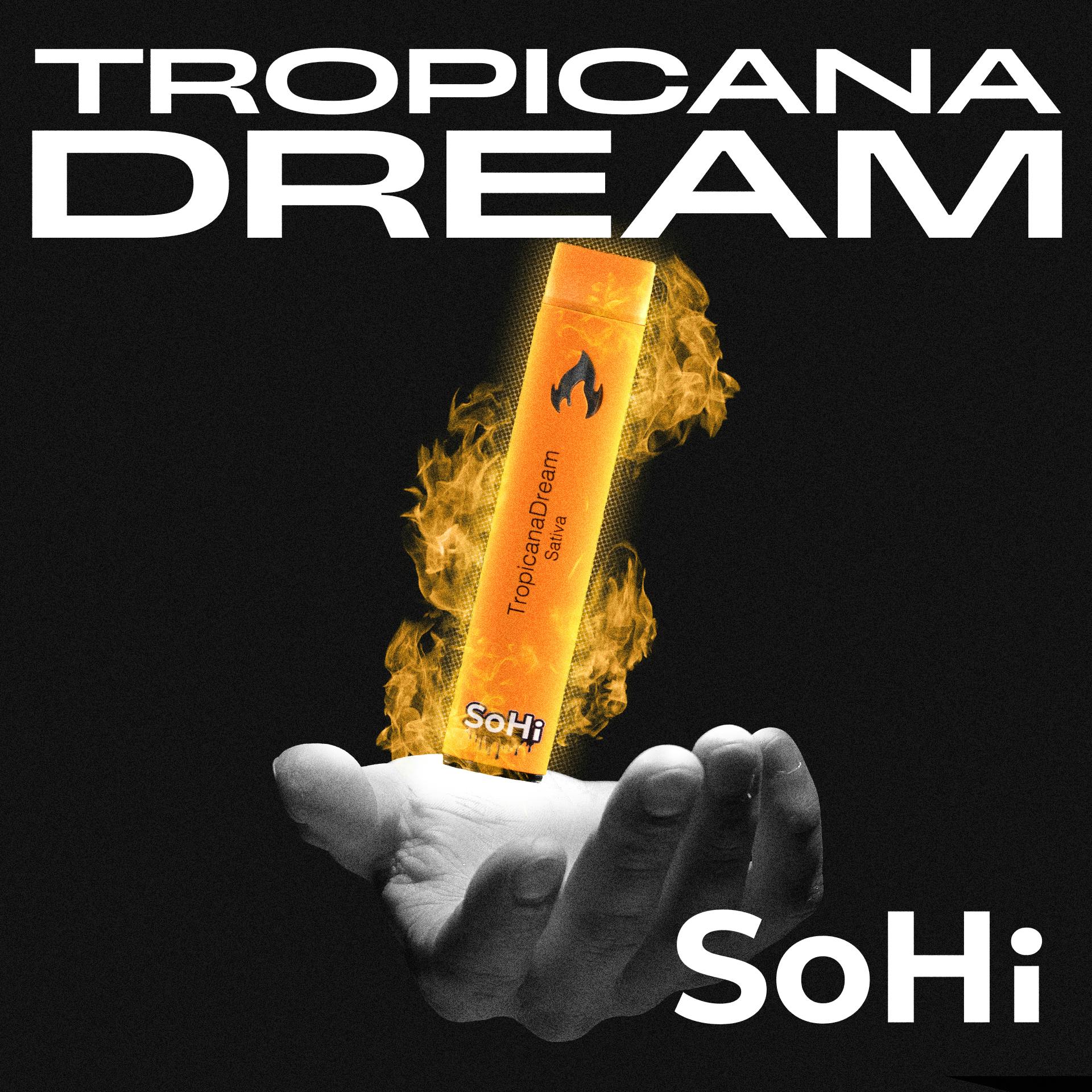 SoHi SoHi | 1g Disposable | White Runtz - Puff Cannabis Cannabis Store in MI
