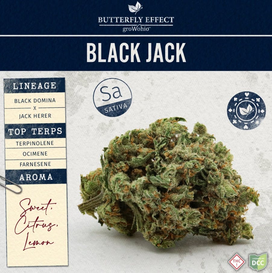 elfbar nachfüll pod läuft aus Black Jack Cherry Tobacco 60 ml main image 0