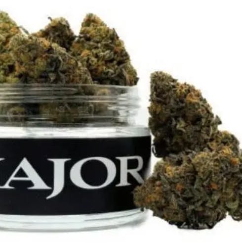 Product Major | Neptune Haze | 2.67% terps