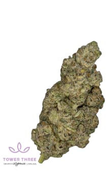 Product Gyros Buds