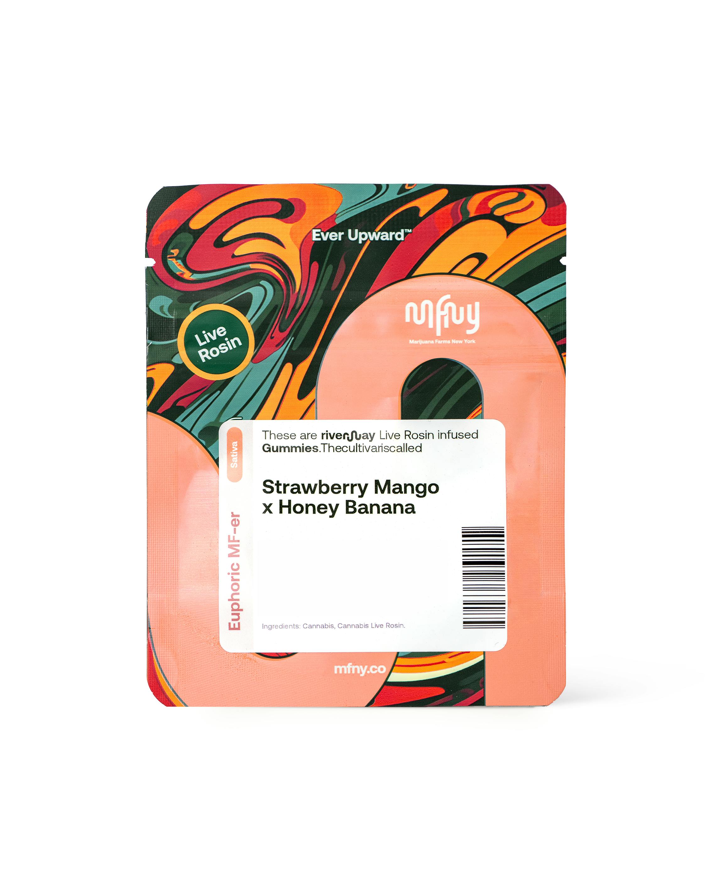 honey】マッドサイエンス臓器移植パネル柄チュニック 【Drug