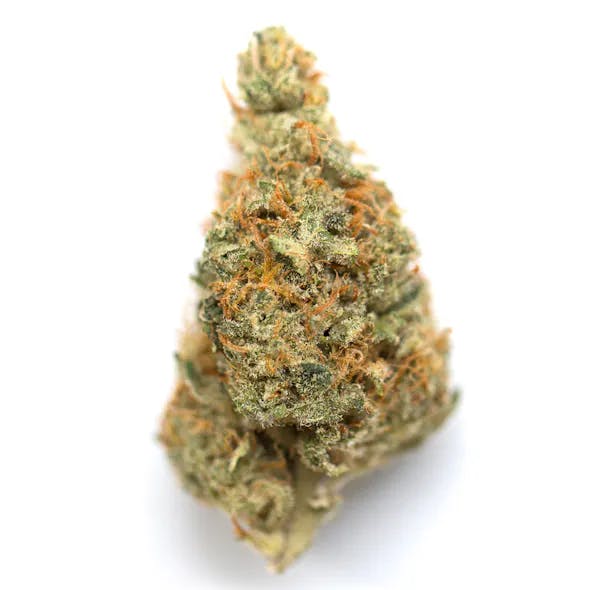 Zebu | Bob Hope | 3.5g