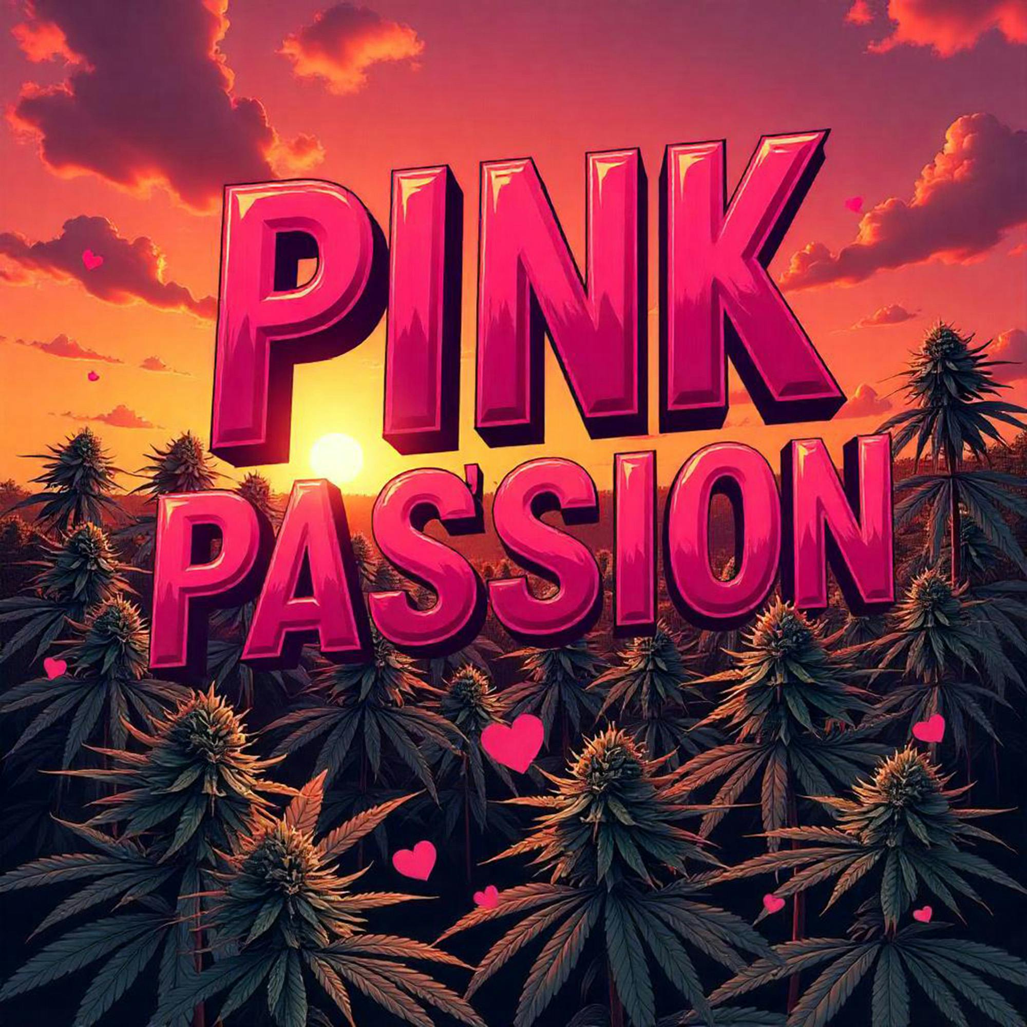 DELI - Pink Passion