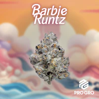 Barbie Runtz Deli - product image at King of Budz