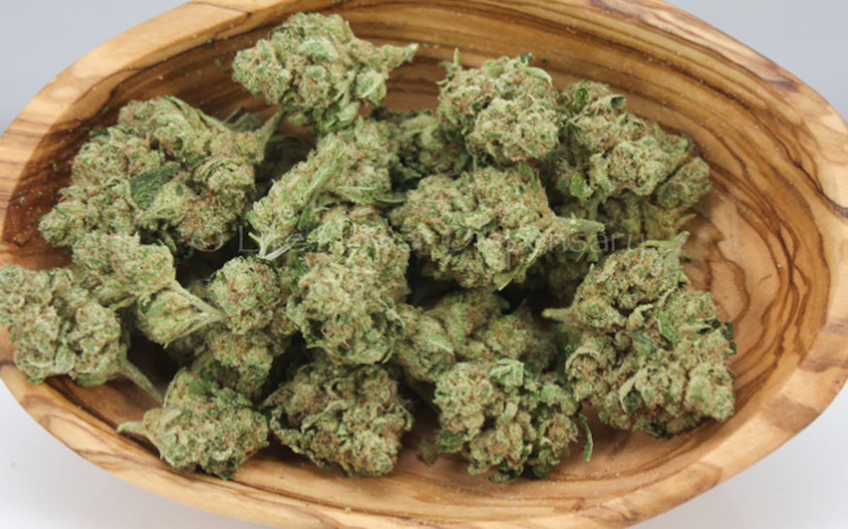 Photo of Platinum Shelf – Commerce City Kush (I)